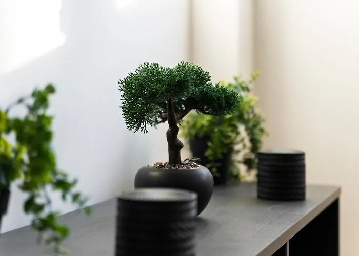 Centre - Parking Included - High Speed Wifi - 5 Guests Appartement *