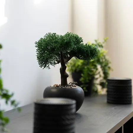 Centre - Sleeps 5 - Free Parking Appartement *